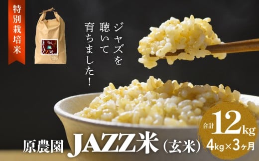 ߘa7NxY _ JAZZ () 4kg ɂ܂ 3  JAZZ JAZZ  _   肩ԎR  엿 L@엿 ʍ͔| R__@ ׋ ͔ A[ge_@ L