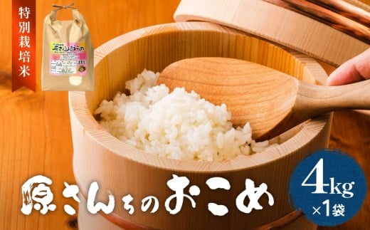 令和7年度産 原さんちのお米 4kg  にこまる  特別栽培米 原農園 有機栽培 化学肥料不使用 アートテン農法 抗酸化農法 完熟堆肥 有効微生物農法 産直 お米 栄養価 体に良い おいしい 安心 田