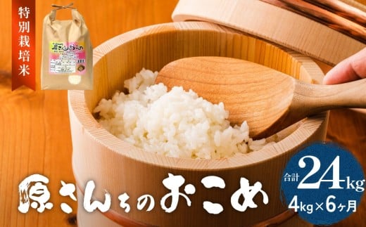令和7年度産 原さんちのお米 4kg にこまる 6回定期便 特別栽培米 原農園 有機栽培 化学肥料不使用 アートテン農法 抗酸化農法 完熟堆肥 有効微生物農法 産直 お米 栄養価 体に良い おいしい