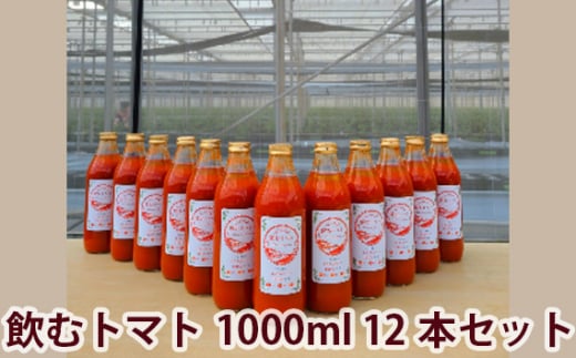 【まるまる赤トマト100%使用】完熟トマトジュース 1000ml×12本セット【トマト とまと トマトジュース わけあり 規格外トマト 完熟トマト 丸搾り ジュース 料理 イオン イオン農場】埼玉県久