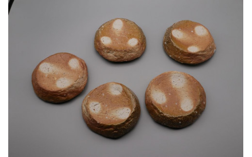 厚盛皿5客セット 明石大(あかし ひろき)作【埼玉県 久喜市 特産 陶芸 陶器 焼き物】埼玉県久喜市22000衣類・装飾品・工芸品その他 装飾品・工芸品