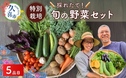 たかしま農園 特別栽培 採れたて 旬の野菜セット 5品目 | 野菜 やさい 生野菜 おまかせ 詰め合わせ 無農薬 新鮮 季節 旬 食材 地元産 有機野菜 有機農業 農家 食育 健康 お取り寄せ 埼玉県 久
