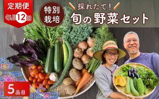【5品目】【12カ月定期便】 特別栽培 たかしま農園 採れたて 旬の野菜セット 毎月発送  | 野菜 やさい 生野菜 おまかせ 詰め合わせ 無農薬 新鮮 季節 旬 食材 地元産 有機野菜 有機農業 農家