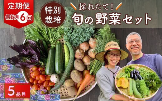【5品目】【6か月隔月定期便】 特別栽培 たかしま農園 採れたて 旬の野菜セット 偶数月(2/4/6/8/10/12)発送 | 野菜 やさい 生野菜 おまかせ 詰め合わせ 無農薬 新鮮 季節 旬 食材 地元産 有機