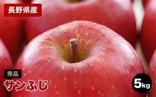 太陽の光をたっぷりと浴びた 長野県産 りんご サンふじ 約5kg 秀品 <2025年11月下旬〜12月中旬発送> | 果物 くだもの フルーツ りんご リンゴ 林檎 長野県 信州 南信州 飯田市長野県飯田市1400