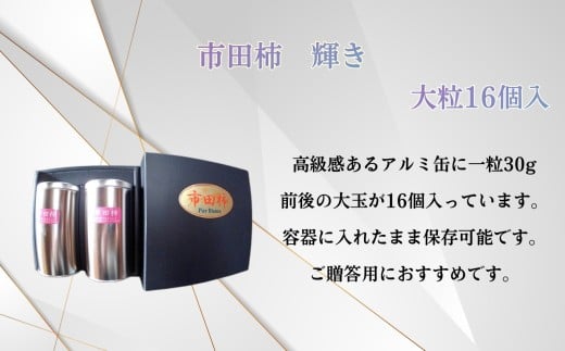 sc` P 8×2 | ʕ  t[c sc` ` ` p v[g 蕨 쌧 ѓcs쌧ѓcs14000ʕEt[c̑ ʕEt[c