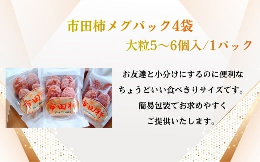 sc` OpbN 4 | ʕ  t[c sc` ` ` p v[g 蕨 쌧 ѓcs쌧ѓcs14000ʕEt[c̑ ʕEt[c