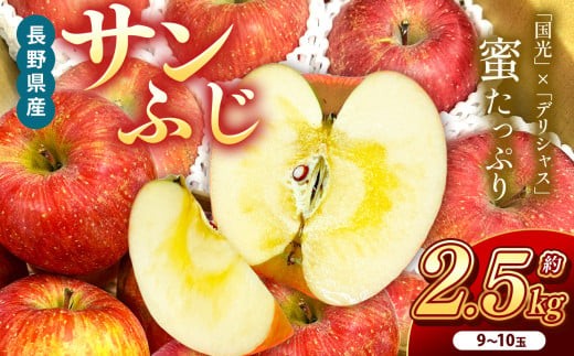 サンふじ 約2.5kg 9〜10玉 | りんご 林檎 リンゴ サンふじ 果物 フルーツ ジューシー 信州 南信州  ふるさと納税 長野県 飯田市長野県飯田市9000果物・フルーツりんご・梨