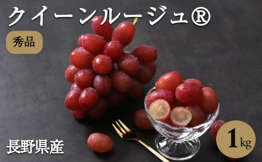 YnI! 쌧Y NC[[W? 1kg Gi q2025N10{`11{r | ʕ  t[c Ԃǂ uhE  NC[[W? Ȃ 쌧 MB MB ѓcs쌧