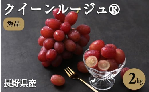 産地厳選! 長野県産 クイーンルージュ? 約2kg 秀品 〈2025年10月中旬〜11月中旬発送〉 | 果物 くだもの フルーツ ぶどう ブドウ 葡萄 クイーンルージュ? 種なし 長野県 信州 南信州 飯田市長野県