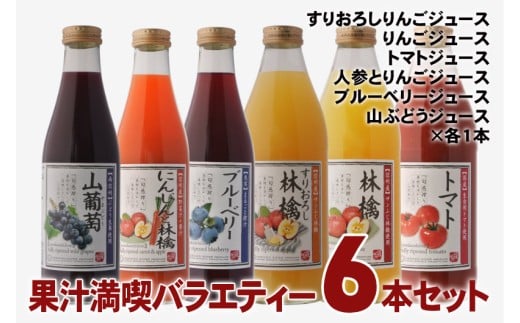 果汁 満喫 バラエティー ジュース 6本 セット | 小池手造り農産加工所 りんご トマト 人参 ブルーベリー 山ぶどう ジュース 国産 手造り てづくり 健康 飲料 長野県 飯田市長野県飯田市27000お