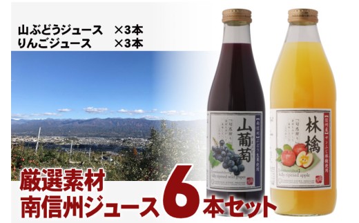 厳選素材 南信州産 ジュース 6本 セット | 小池手造り農産加工所 りんご すりおろし 山ぶどう 国産 手造り てづくり 健康 飲料 長野県 飯田市長野県飯田市27000お茶・飲料果汁・野菜飲料