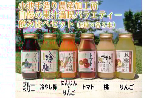 果汁 満喫 バラエティ 飲みきり ジュース 18本 セット | 小池手造り農産加工所 りんご 人参 ブルーベリー 桃 冷やし梅 トマト 国産 手造り てづくり 健康 飲料 長野県 飯田市長野県飯田市27000