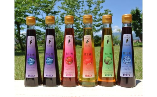 飲む 酢 バラエティ セット | 小池手造り農産加工所 酢 りんご トマト 人参 ブルーベリー 山ぶどう ジュース 国産 手造り てづくり 健康 飲料 長野県 飯田市長野県飯田市21000お茶・飲料果汁