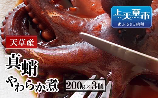 天草産真蛸のやわらか煮(たこステーキ)200g×3個 計600g たこ タコ 蛸 真ダコ おつまみ おかず 惣菜 冷凍 熊本県 上天草市熊本県上天草市18000魚介・海産物イカ・タコ・ウニ