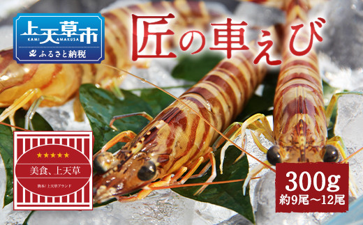 【上天草ブランド認証品】 匠の車えび【活き締め急速冷凍】300g(9尾〜12尾)熊本県上天草市12000魚介・海産物エビ