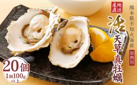 活き天草真牡蠣 2kg(100g以上×20個)加熱用【11月上旬〜翌年3月下旬発送予定】かき 牡蠣 カキ熊本県上天草市12000魚介・海産物貝類
