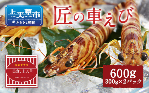 【上天草ブランド認証品】 匠の車えび【活き締め急速冷凍】600g(18尾〜24尾) 車海老 刺身 車えび えび 車エビ エビ熊本県上天草市24000魚介・海産物エビ