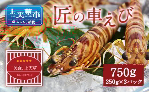 【上天草ブランド認証品】 匠の車えび【活き締め急速冷凍】 250g-3パック(30尾〜39尾) 車海老 刺身 車えび えび 車エビ エビ熊本県上天草市24000魚介・海産物エビ