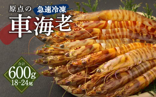 _̎ԊCV }Ⓚ 600g (18`24) 300g×2pbNF{Vs24000ECYGr