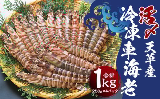 天草産 活 〆冷凍 車海老 250g×4パック (28〜40尾入り)【2025年11月上旬発送開始】 えび エビ 海老 車エビ 車えび 熊本県 上天草市熊本県上天草市35000魚介・海産物エビ