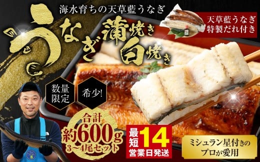 【ミシュラン星付きのプロが愛用】1日10セット限定!海水育ちの天草藍うなぎ 紅白3〜4尾セット【合計約600g】数量限定!! 鰻 ウナギ うなぎ うなぎ蒲焼 鰻の蒲焼 うなぎ 国産 白焼き熊本県上