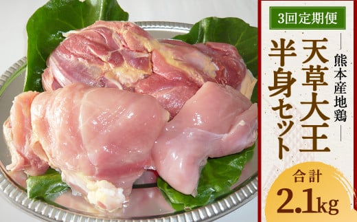 【3回発送】熊本産地鶏 天草大王 半身セット 定期便【合計2.1kg】 モモ ムネ ササミ熊本県上天草市35000肉鶏肉