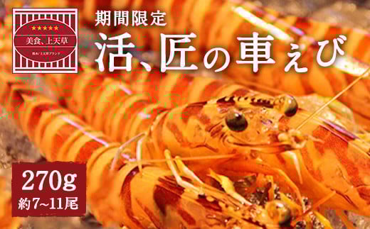 【配送日必須】【上天草市ブランド認証品】活、匠の車えび約270g(約7〜11尾) 車海老 クルマエビ えび 海老 エビ 魚介 海鮮 常温【発送期間2025年11月1日から2026年3月31日】熊本県上天草市1200