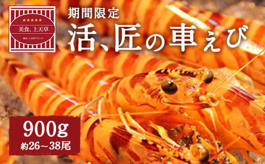 【配送日必須】【上天草市ブランド認証品】活、匠の車えび約900g(約26〜38尾) 車海老 クルマエビ えび 海老 エビ 魚介 海鮮 常温【発送期間2025年11月1日から2026年3月31日】熊本県上天草市350