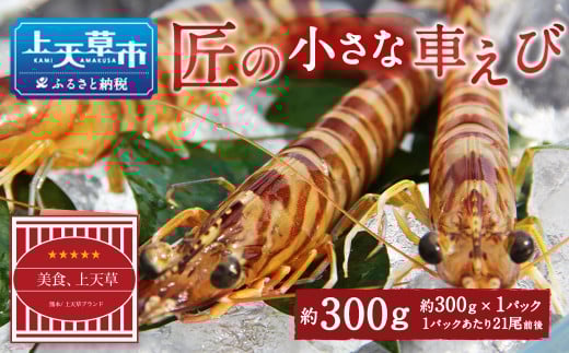 yVsuhFؕiz̏ȎԂ 300g (300g×1pbN)F{Vs6000ECYGr