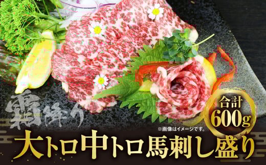 大トロ 中トロ 馬刺し盛り 600g お肉 肉 霜降り 食べ比べ 馬肉 醤油 生姜 300g×2熊本県上天草市81000肉ジビエ