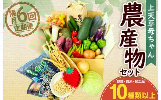 【隔月定期便6回】上天草母ちゃん農産物セット 野菜・お米・加工品10種類以上!熊本県上天草市70000野菜・きのこその他 野菜