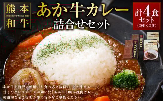 あか牛カレー 詰め合わせセット(あか牛カレー180g×2、あか牛100%挽肉カレー220g×2) カレー ビーフカレー レトルト 和牛 あか牛 食べ比べ 詰め合わせ セット 計4食 計800g熊本県上天草市18000