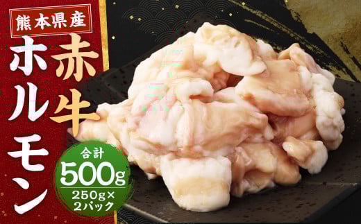 熊本県産赤牛 ホルモン 250g×2パック 合計500g ホルモン もつ モツ 焼き肉 やきにく 冷凍 熊本県産 国産熊本県上天草市12000肉牛肉