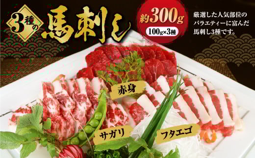 3種の馬刺し 約 300g【赤身・フタエゴ・サガリ】 熊本 馬刺し 馬肉 馬 3種類 セット 冷凍 ふたえご さがり 食べ比べ熊本県上天草市14000肉ジビエ