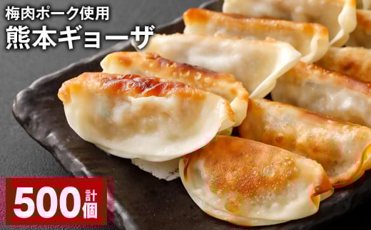 梅肉ポーク使用 熊本ギョーザ 計500個 餃子 ぎょうざ 豚肉熊本県上天草市74000鍋セット・総菜・加工食品総菜