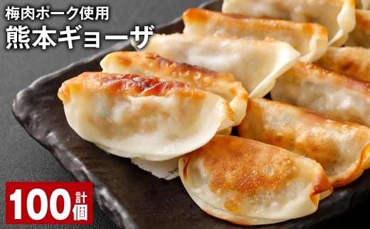 梅肉ポーク使用 熊本ギョーザ 計100個 餃子 ぎょうざ 豚肉熊本県上天草市15000鍋セット・総菜・加工食品総菜