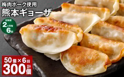 【2ヶ月毎6回定期便】 梅肉ポーク使用 熊本ギョーザ 計300個(50個?6回) 餃子 ぎょうざ 豚肉熊本県上天草市44000鍋セット・総菜・加工食品総菜
