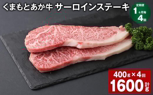 【1ヶ月毎4回定期便】 くまもとあか牛 サーロインステーキ 計約1.6kg(約400g?4回) 和牛 牛肉熊本県上天草市120000肉牛肉