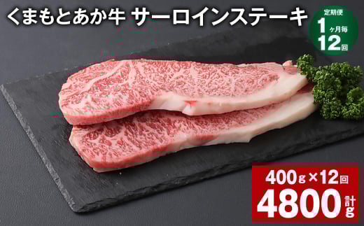 【1ヶ月毎12回定期便】 くまもとあか牛 サーロインステーキ 計約4.8kg(約400g?12回) 和牛 牛肉熊本県上天草市360000肉牛肉
