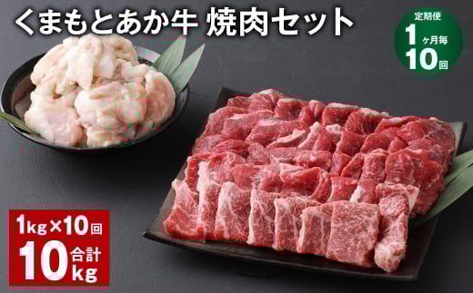 【1ヶ月毎10回定期便】 くまもとあか牛 焼肉セット 計約10kg(約1kg?10回) 焼肉 もも ホルモン熊本県上天草市216000肉牛肉