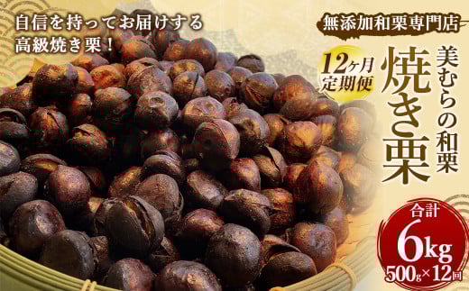 y12zYaIX ނ̘aI ĂI 500g v6kg ⓀČI I aI H } Ⓚ Y sgp Ă ۑsgpF{Vs70000ʕEt[c̑ 