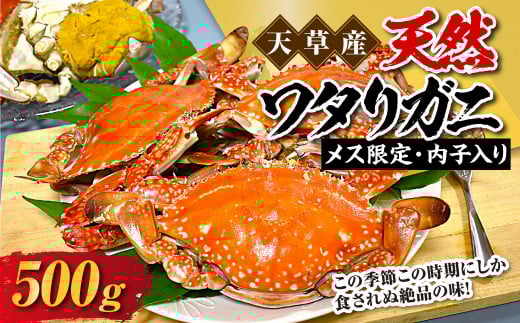 天草産 天然ワタリガニ メス限定内子入り 500g 2杯 渡り蟹 ワタリガニ カニ 蟹 天草名物 甲殻類 魚介 渡蟹 グルメ 冷凍 内子 内子入り熊本県上天草市10000魚介・海産物カニ
