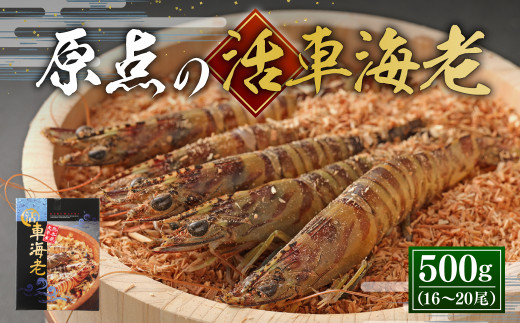 【配送日指定品】原点の車海老 500g (16〜20尾) 活き車海老 生えび 海老 エビ えび 車エビ 車海老 活きたまま 熊本県 上天草市【2025年11月18日から2026年2月28日発送予定】熊本県上天草市20000