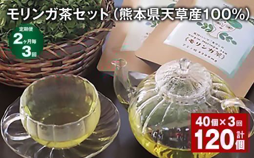 【2ヶ月毎3回定期便】モリンガ茶セット(熊本県天草産100%) 計120個(40個?3回) ティーバッグ お茶 茶葉熊本県上天草市35000お茶・飲料お茶
