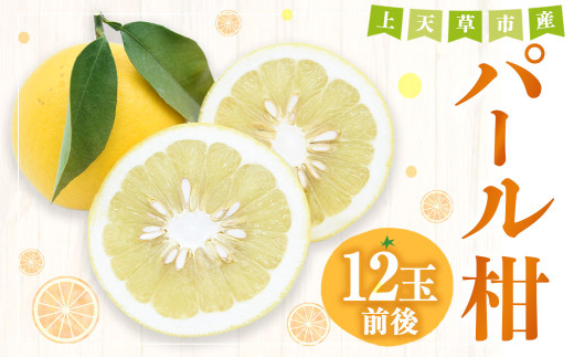 【先行受付】上天草市産 パール柑 約5kg 12玉前後 柑橘 フルーツ 果物 果実 熊本県 上天草市【2026年2月下旬から4月下旬順次発送予定】熊本県上天草市12000果物・フルーツみかん・柑橘類