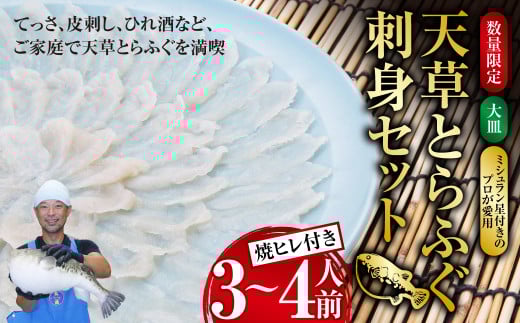 【数量限定】 【大皿】 【ミシュラン星付きのプロが愛用】 天草 とらふぐ 刺身 セット 3~4人前 焼ヒレ 付き 【2025年12月下旬〜2026年3月下旬まで順次発送予定】ふぐ 河豚 フグ トラフグ 刺身