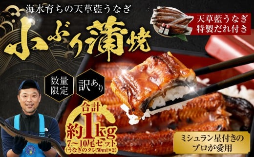 【数量限定】 【訳あり】 【ミシュラン星付きのプロが愛用】海水育ちの 天草 藍うなぎ 小ぶり 蒲焼 1kg(7〜10尾)  養殖期間中 無投薬 鰻 ウナギ うなぎ うなぎ蒲焼 鰻の蒲焼 国産熊本県上