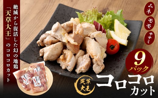 天草大王 コロコロカット 9セット 200g×9パック 合計1800g 鶏肉 肉 お肉 地鶏 一口大 カット済 国産 九州産 熊本県産 冷凍熊本県上天草市32000肉鶏肉