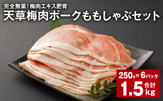 完全無薬!梅肉エキス肥育 天草梅肉ポークももしゃぶセット 計約1.5kg(約250g×6パック) 豚肉 お肉熊本県上天草市24000肉豚肉